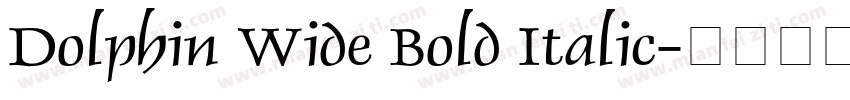 Dolphin Wide Bold Italic字体转换